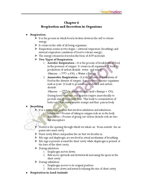 Lactate production in humans when anaerobic thus, aerobic respiration is the main source of atp for cellular functions in eukaryotes. Respiration and Excretion in Animals | Cellular ...