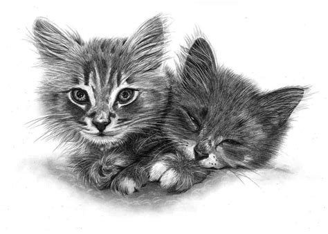 307,348 pets clip art images on gograph. Pencil Pet Portraits from Photos - Drawings of Cats, Dogs ...