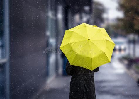 Walking On Rainy Day With Yellow Umbrella Stock Image Image Of Report