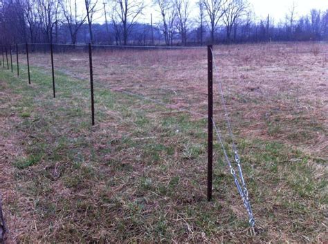 Maybe you would like to learn more about one of these? Kiwis and a Mighty Trellis | Trellis, Trellis design ...