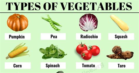 List Of Vegetables 100 Popular Types Of Vegetables In English