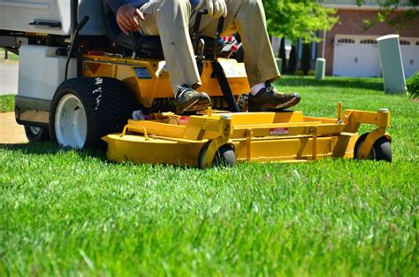 Online catalog of ornamental plants: Free Images : field, tool, asphalt, vehicle, lawn mower ...