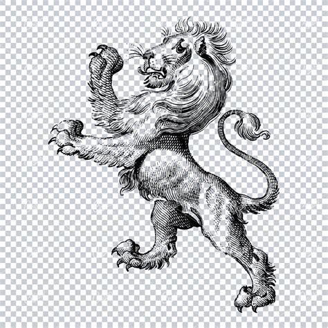 Heraldry Line Art Illustration Of A Lion No Tom Chalky Library