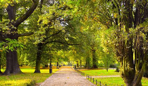 Get store opening hours, closing time, addresses, phone numbers, maps and directions. Bullard Area