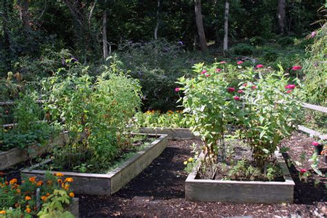 What if i don't want a simple square raised bed? Do I Need Raised Beds For Growing Vegetables? Hyannis ...