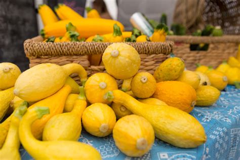 Planting giant pumpkin seeds wyogiants you. How To Grow Squash - Food Storage Moms