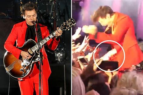 Harry Styles Has His Crotch Grabbed By A Very Eager Fan At We Can Survive Concert The Irish Sun
