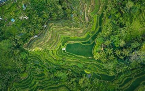 Perbedaan Kondisi Alam Di Indonesia Dan Penjelasannya