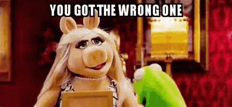 Take your computer to a computer technician or repair shop to diagnose whats wrong and how to fix it. You Got The Wrong One Miss Piggy GIF - YouGotTheWrongOne ...