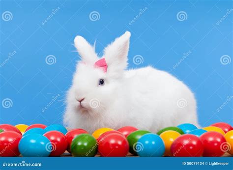 Fluffy White Rabbit With Pink Bow Guarding Colorful Eggs Stock Photo