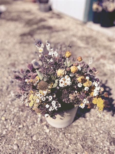 Dried Bouquets — Amethyst Flower Farm