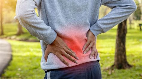 What Is Causing My Low Back Pain Reddy Care Physical And Occupational