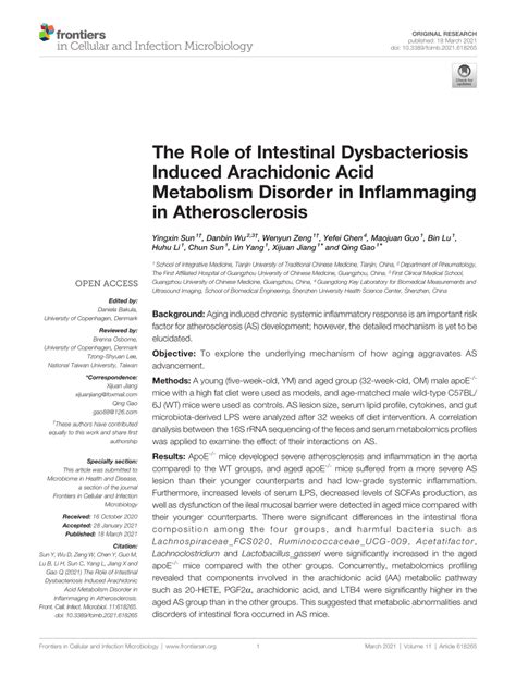 Pdf The Role Of Intestinal Dysbacteriosis Induced Arachidonic Acid