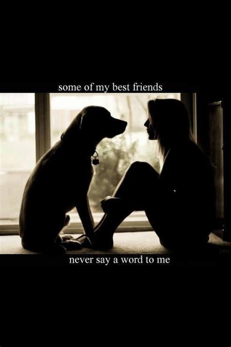 21 Quotes That Will Change The Way You Think About Labradors