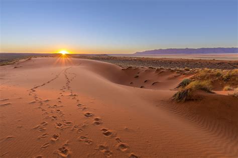 Le Désert De Kalahari En Namibie Lieux Incontournables De La Namibie
