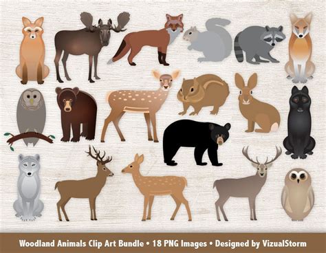 Download Woodland Animals Clipart Bundle Forest Animal Graphics ...