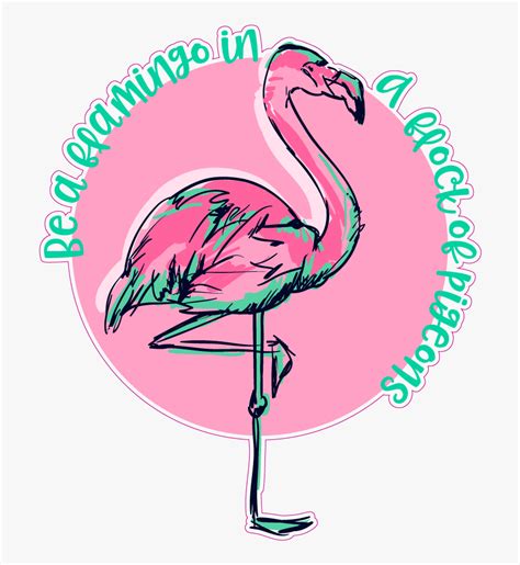 Flamingos Clip Art Illustration Drawing Vector Graphics Greater