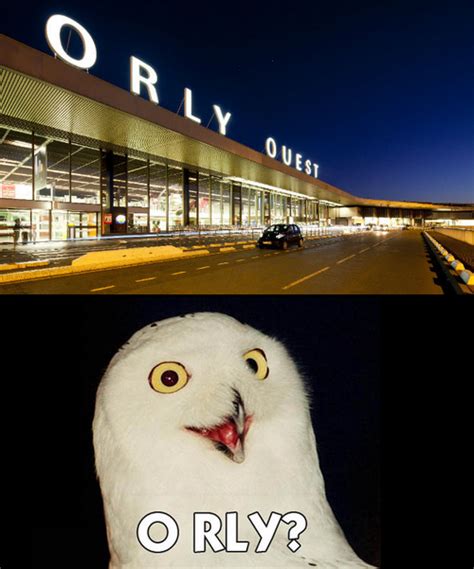 Orly O Rly Know Your Meme