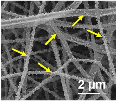 Polymers Free Full Text Electrospinning Pullulan Fibers From Salt