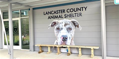 Shelter In Place 2020 Lancaster Spca Annual Fundraiser