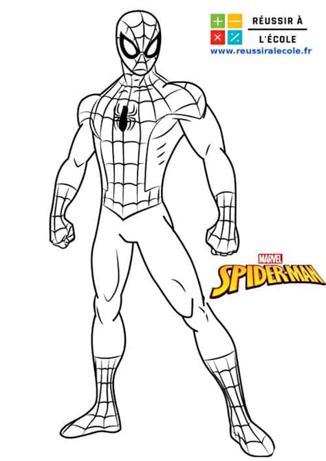 Hulk dessin dessin 834 coloriage spiderman a imprimer oh kids net coloriage spiderman coloriages coloriage a imprimer gratuit coloria. Spiderman Dessin Debout - Bonesaw mcgraw is a professional ...