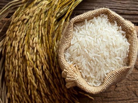 Monthly Rice Imports To Iran Reach 90m Financial Tribune