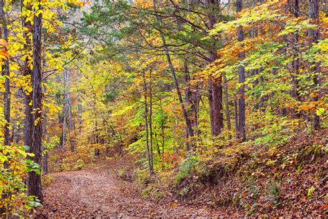 Fall Foliage In Arkansas Richard Davis Photography