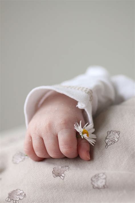 De Hand Baby Kleine · Gratis Foto Op Pixabay