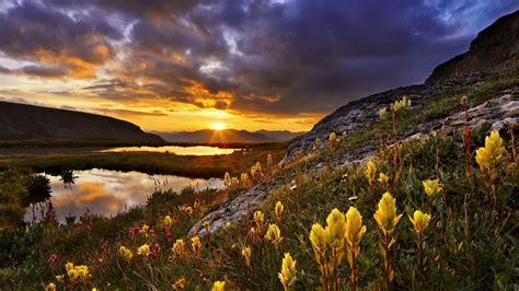 Wildflowers Sunrise Beautiful Sky Lake Light Hills Glow Usa
