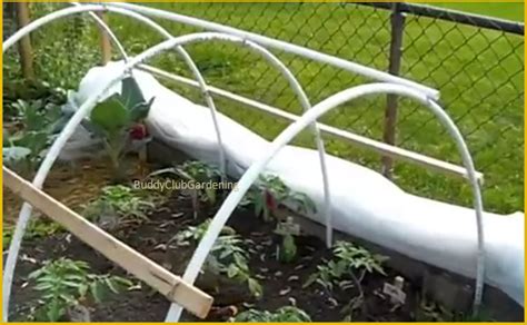 Video Build This Low Cost Pvc Pipe Hoop House Brilliant Diy