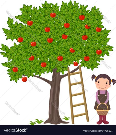 Girl Picking Apples Royalty Free Vector Image Vectorstock