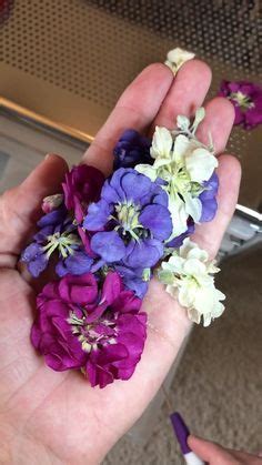 Today we use two methods to make dried flowers # 1 use silica gel crystals (desiccant) to make dried flowers# 2 natural air dry flowerstwo flowers are. Drying and Preserving Flowers for Resin in 2020 | Dried ...