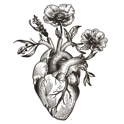 Learn how to draw flowers and hearts pictures using these outlines or print just for coloring. Pin by Ayla Muscia on Victorian Wedding | Heart drawing, Trendy tattoos, Tattoos
