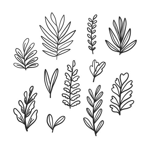 Doodle Leaves Collection Set 546866 Vector Art at Vecteezy