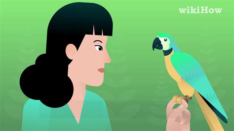 How To Teach Your Bird To Talk Youtube