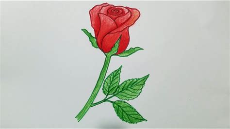 VẼ Hoa HỒng ĐƠn GiẢn How To Draw Color A Rose Super Easy Tóm Tắt