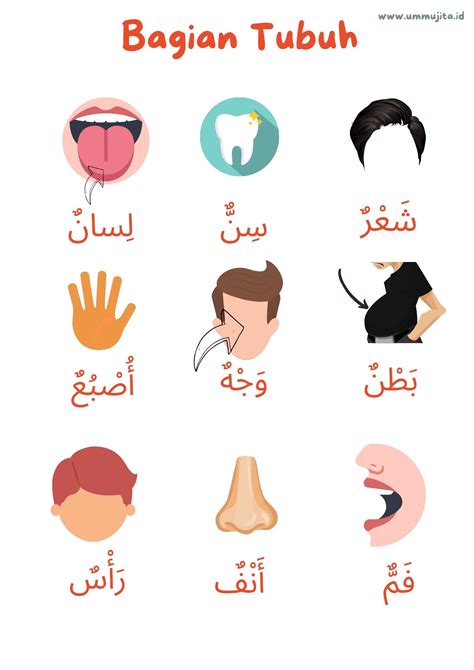 Belajar Bahasa Arab Anggota Tubuh Belajar Bahasa Asing Hot Sex Picture