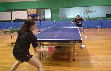 Table tennis ）は、球技の一種である。 ピンポン (ping pong、乒乓) とも言う。競技者は卓球台を挟んで向かい合い、セルロイド製かプラスチック製のボール（現在はプラスチック製を用いることが多い）をラケットで打ち合って得点を競う。 女子卓球部: 2015年4月アーカイブ