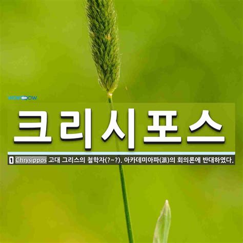 We did not find results for: 크리시포스 의미: 고대 그리스의 철학자(?~?). 아카데미아파(派)의 ...