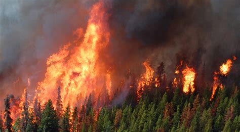 I was out west of calgary this morning and picked up some weak comms on the above frequency that. Wildfires: Should BC Do More to Help Homeowners 'Stay and Defend'? | The Tyee