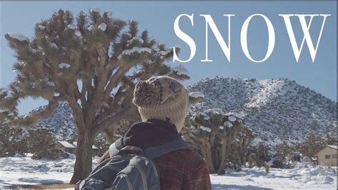 Snow In Joshua Tree 2019 Youtube