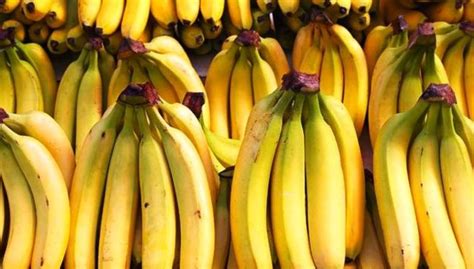 Jenis pisang yang enak diolah menjadi keripik antara lain pisang kepok, tanduk, nangka dan pisang kapas. Daftar Harga Pisang Terbaru Januari 2020 | WartaSolo.com ...