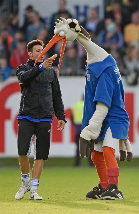 ⚽️ deutscher meister von 1912. 18. Spieltag: SV SANDHAUSEN - HOLSTEIN KIEL -> Steuert der ...