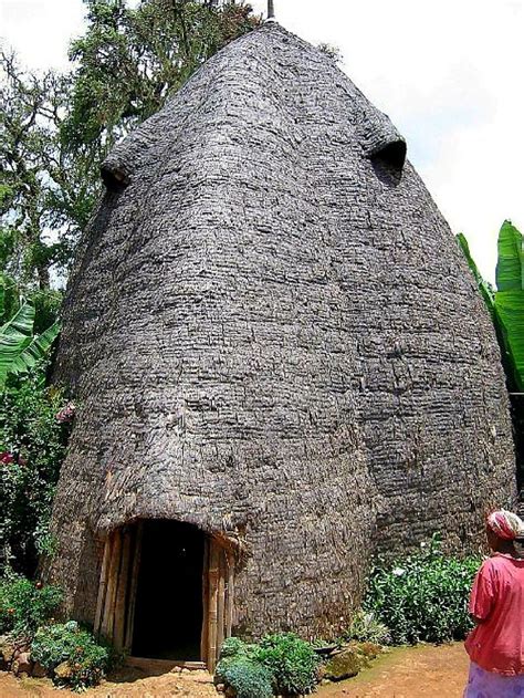 house in etnia dorze ethiopia africa unusual buildings vernacular architecture natural