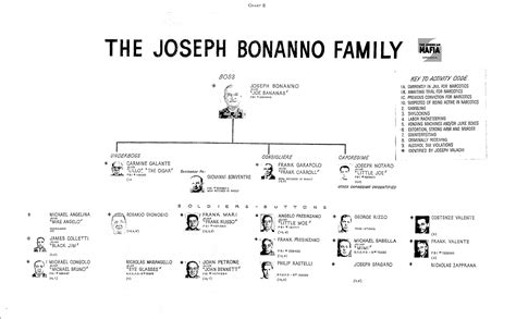 Gambino Crime Family Tree