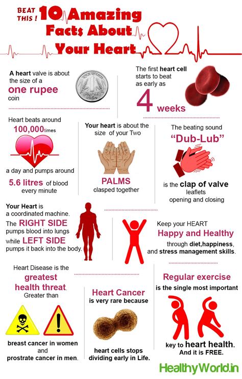Do You Know Your Heart Check Out Our Infographics To Know Whats Going