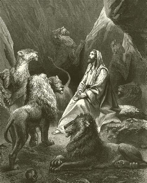 Daniel In The Lions Den Drawing By English School