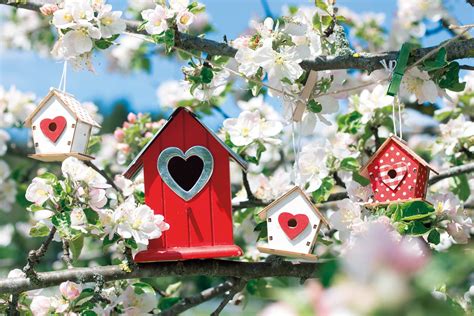 Attraktive wohnungen für jedes budget! Neubauprojekte Kauf und Miete - Haferkamp Immobilien GmbH