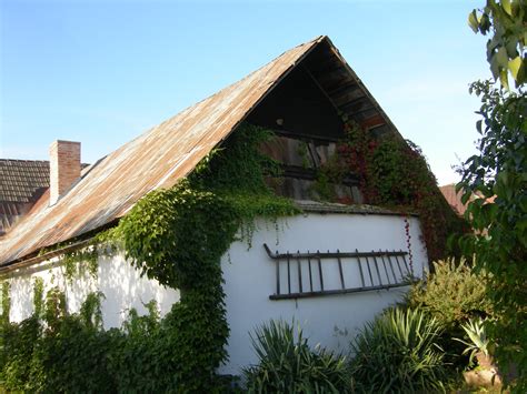 Es wird ausdrücklich darauf hingewiesen, das die im haus nr. Bilder _ Mundil Haus Nr. 5 - Hnevetice - Mundil Family
