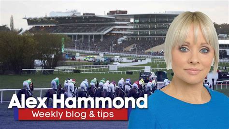 Alex Hammond Blog And Tips Get On The Slate House In Betvictor Gold Cup